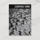 Pesquisar por modelo gráfico cartao de visita Moderno