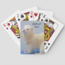 Pesquisar por bicho baralhos Natureza