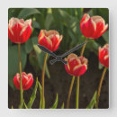 Pesquisar por tulipas coloridas relogios de parede Colorido