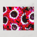 Pesquisar por anêmona branca cartoes postais Flores