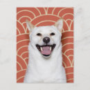 Pesquisar por emoção cartoes postais Humor