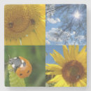 Pesquisar por travesseiro porta copos Flores