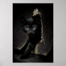 Pesquisar por gato preto olhos verdes pôsteres Gatinho