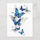 Pesquisar por borboleta azul morpho cartoes postais Borboletas