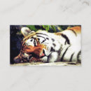 Pesquisar por tiger cartao de visita Natureza