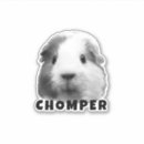 Pesquisar por gato branco com adesivos For pets