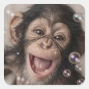 Pesquisar por chimpanzé adesivos Fofo
