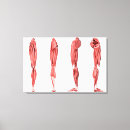 Pesquisar por ligamento impressão de canvas Imagem gerada digitalmente