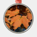 Pesquisar por folhas de outono ornamentos Carapaça