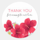 Pesquisar por havaiano do luau adesivos Hibisco