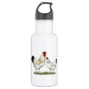 Pesquisar por india garrafa agua Galinha