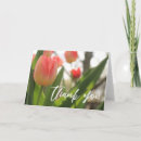 Pesquisar por obrigado da tulipa Qualquer pessoa