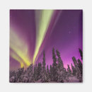 Pesquisar por aurora boreal imas Floresta