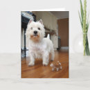 Pesquisar por west highland terrier cartoes Cachorrinho