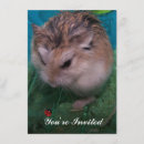 Pesquisar por hamster engraçado convites Hamsters