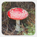 Pesquisar por close up adesivos Cindy miller hopkins