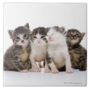 Pesquisar por japonês azulejos Natureza