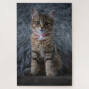 Pesquisar por gatos e gatinhos fotos quebra cabecas Olhos