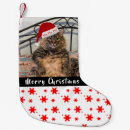 Pesquisar por gatos meias de natal Gato engraçado