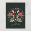 Pesquisar por lebre branca cartoes postais Vida selvagem