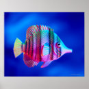 Pesquisar por posters dos peixes pósteres pôsteres Criaturas do sealife