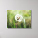 Pesquisar por dente leão impressão de canvas Flor