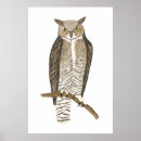 Pesquisar por raptor quarto bebê decoração Pássaro