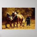 Pesquisar por cavalo de arado pôsteres Cavalos