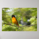 Pesquisar por daydream pôsteres Natureza