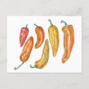 Pesquisar por pimenta doce cartoes postais Pimentos