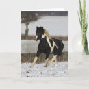 Pesquisar por cavalos pretos cartoes Neve
