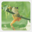 Pesquisar por comprimento completo adesivos Verde
