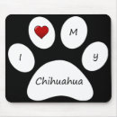 Pesquisar por da chihuahua Chihuahuas