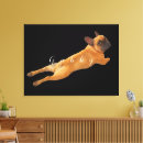 Pesquisar por fundo preto impressão de canvas Cão