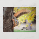 Pesquisar por amigos loucos cartoes postais Qualquer pessoa