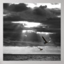 Pesquisar por oceano pôsteres Calma