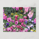 Pesquisar por paisagens bonitas cartoes postais Fotografia da natureza