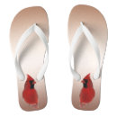 Pesquisar por passarinho vermelho roupas Natureza