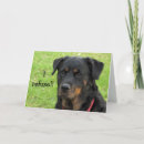 Pesquisar por cão do rottweiler horizontal cartoes Qualquer pessoa