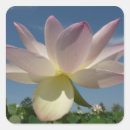 Pesquisar por flor lotus azul adesivos Floral