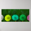 Pesquisar por dandelion pôsteres Amarelo