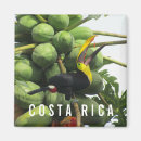 Pesquisar por tucano imas Costa rica