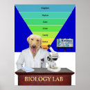 Pesquisar por biologia pôsteres Engraçado