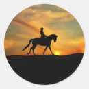 Pesquisar por cavalo e cavaleiro adesivos Penugem