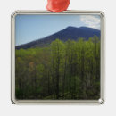 Pesquisar por montagem ornamentos Natureza