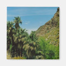 Pesquisar por oasis imas Paisagem