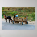 Pesquisar por romania Romeno