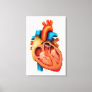 Pesquisar por anatomia coração impressão de canvas Trabalho de arte
