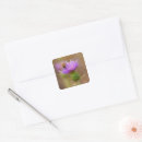 Pesquisar por pólen adesivos Natureza