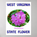 Pesquisar por west virginia pôsteres Natureza